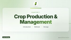 Crop Production and Management