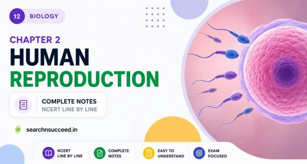 Chapter 2 - Human Reproduction - searchnsuceed.in