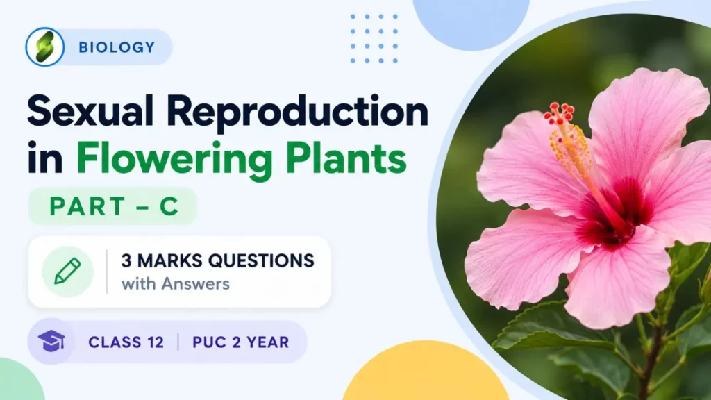 SEXUAL REPRODUCTION IN FLOWERING PLANTS PART – C 3 MARKS QUESTION WITH ANSWERS CLASS 12 PUC 2 YEAR